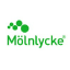 Molnlycke Holding 0.625% Jan 2031